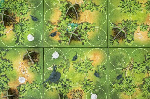 Раптор (Raptor) Раптор (Raptor)