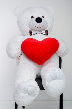 �������� � ������ 160 �� - ����