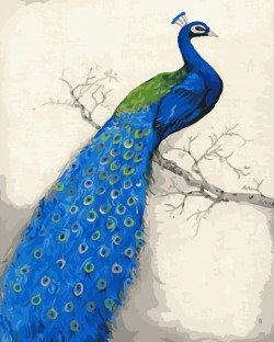 Картина по номерам Грациозный павлин Картина по номерам Грациозный павлин