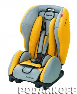  RECARO Young Expert plus  