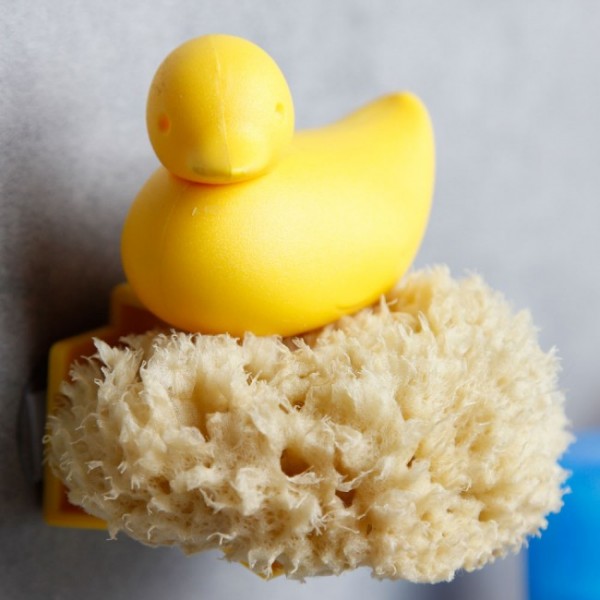    Duck Sponge Qualy 