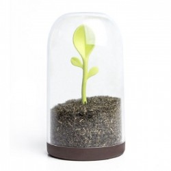    , ,    Sprout Jar Qualy