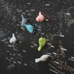   Humming Bird's Message Qualy