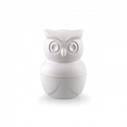      Morning Owl Qualy 