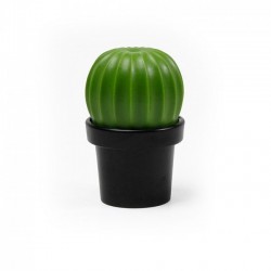      Tasty Cactus Qualy  / 