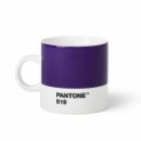   PANTONE Living Violet 519