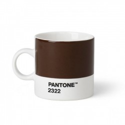    PANTONE Living Brown 2322