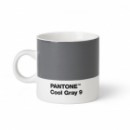   PANTONE Living Cool Gray 9