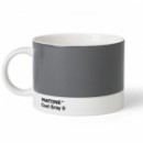    PANTONE Living Cool Gray 9