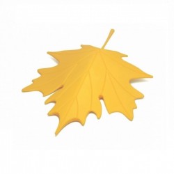    Autumn Qualy 