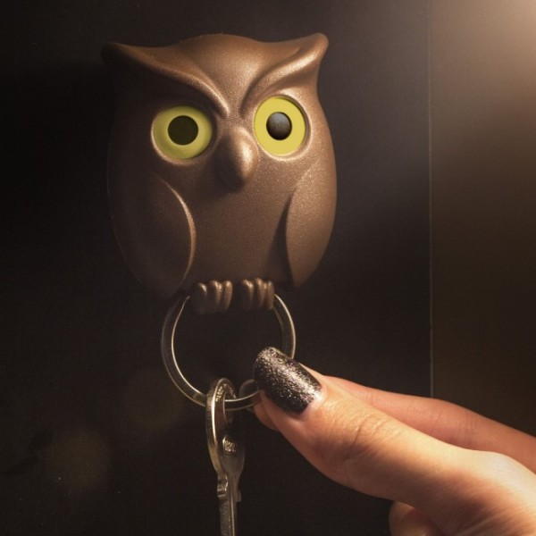   Night Owl Qualy 