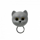   Neko Cat Qualy ѳ