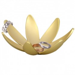    Magnolia Umbra 