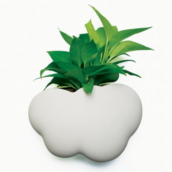 Багатофункціональний органайзер / Горщик для рослин Cloud Qualy Білий . Багатофункціональний органайзер / Горщик для рослин Cloud Qualy Білий .