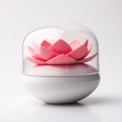 ϳ    Lotus Cotton Bud Qualy  / 