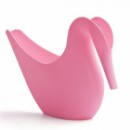     Swan Qualy  .
