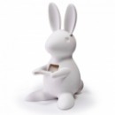    Desk Bunny Qualy 