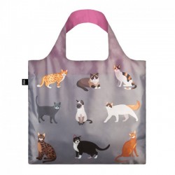     CATS Meow LOQI