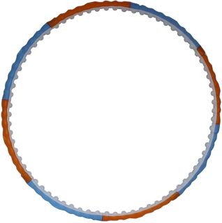   New Body Health Hoop