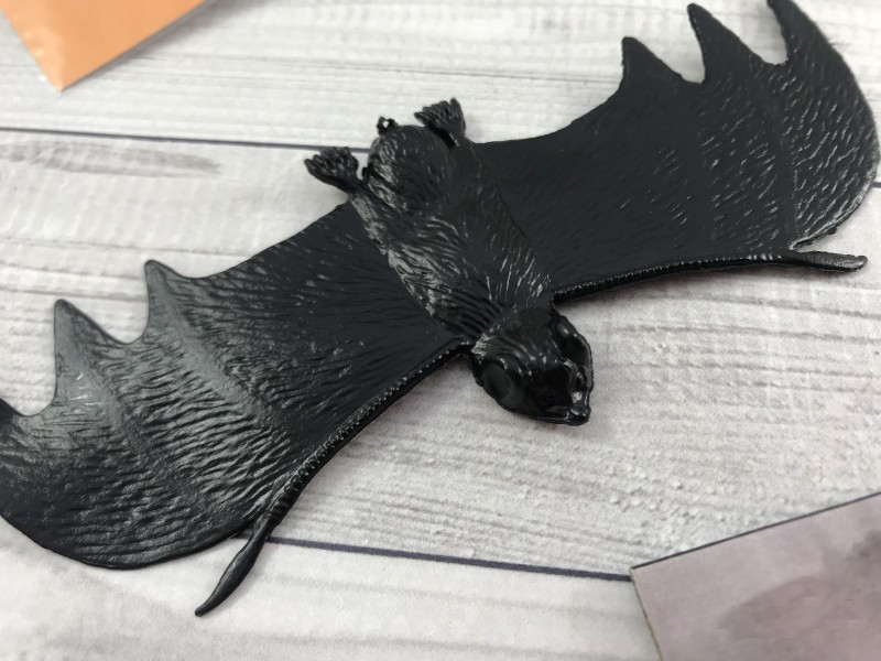 Декоративные летучие мыши  Декоративные летучие мыши