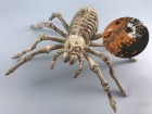 Скелет паук светлый мигающий
