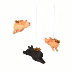 ����� �������� ������ ��� 