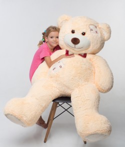   Mister Medved    150 