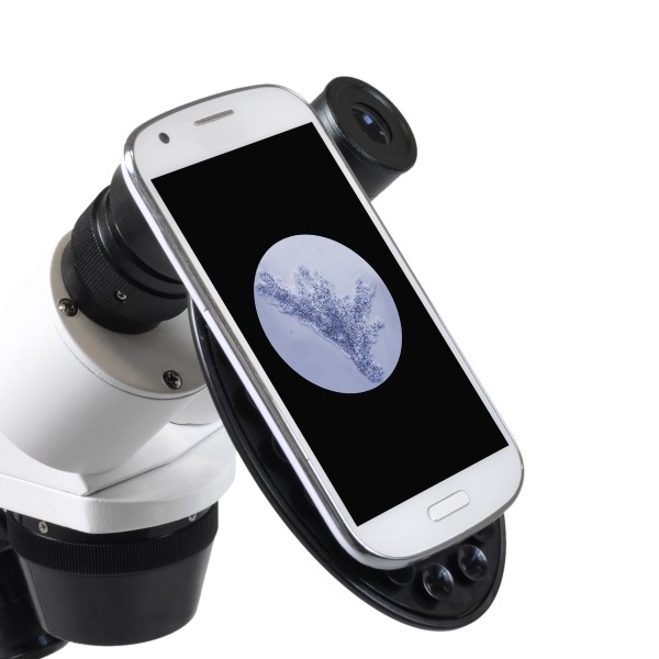 Мікроскоп Bresser Erudit ICD 20x-40x Мікроскоп Bresser Erudit ICD 20x-40x