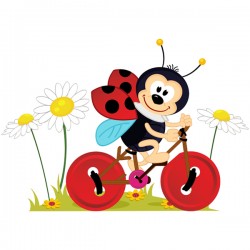   Ladybug