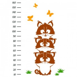   Funny Kittens