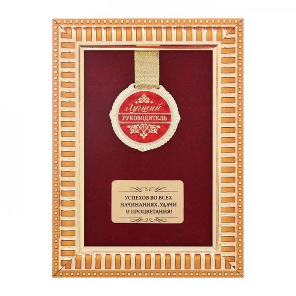 Медаль у рамці " Лучший руководитель " Медаль у рамці " Лучший руководитель "