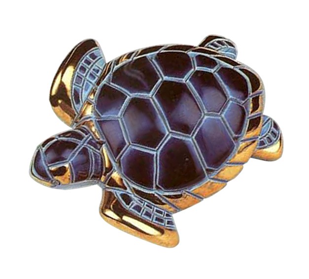 Черепаха Морська Черепаха Морська