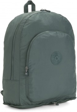 BASIC / Light Aloe  Earnest  (20) (33x43x15) .