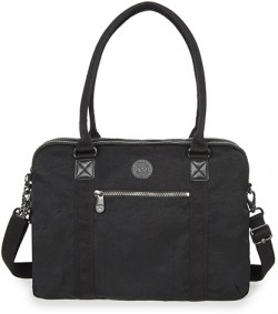  Neat .  . / 13" (13) (39x30x12)  BASIC ELEVATED / Rich Black 