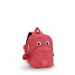 BTS/Punch Pink C  Fast  (6,5) (21,5x27x13,5) .