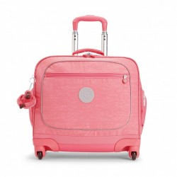   Manary  4   . / (27) (42x41x27)  BTS CAPSULE + / Pink Flash 