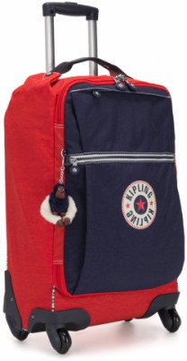 Basic  4  S (30) (35x55x20,5)  DARCEY / Active Red Bl  