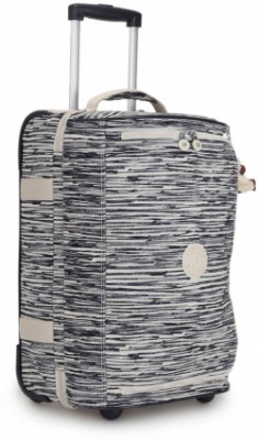  Basic  2  S (39) (35x54x27,5)  TEAGAN / Scribble Lines 