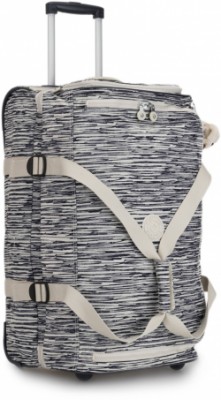  Basic  2  M (74) (38x66x35)  TEAGAN / Scribble Lines 