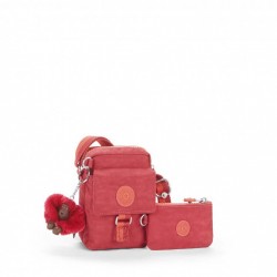  Teddy Iaka S Duo  (10x14x7)  MONKEY FRIENDS / Punch Pink 