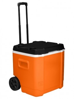     TRANSFORMER ROLLER 60 