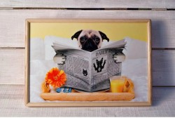 Підставка для їжі перед телевізором . Підставка для їжі перед телевізором .