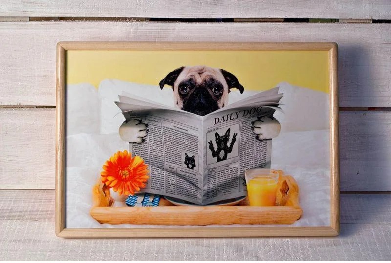 Підставка для їжі перед телевізором . Підставка для їжі перед телевізором .