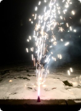 Консервований " Новогодний Секс " Консервований " Новогодний Секс "