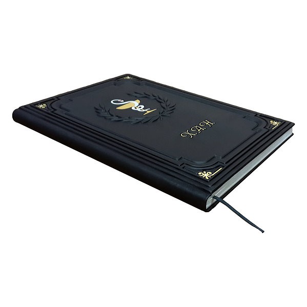 Ежедневник для врача Ежедневник для врача