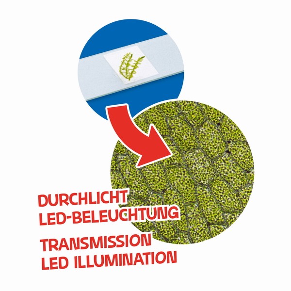 Мікроскоп Bresser Junior 40x-640x Blue Мікроскоп Bresser Junior 40x-640x Blue