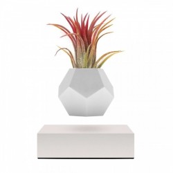 Левітуючий вазон FLYTE , білий . Левітуючий вазон FLYTE , білий .