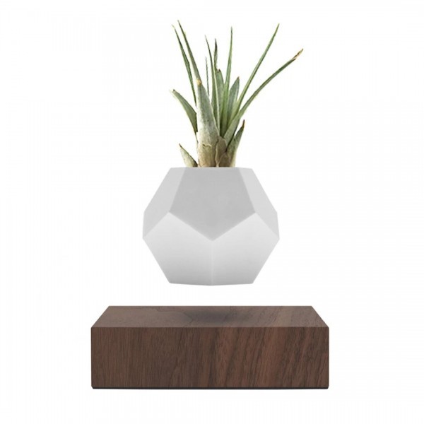 Левітуючий вазон FLYTE , горіх . Левітуючий вазон FLYTE , горіх .