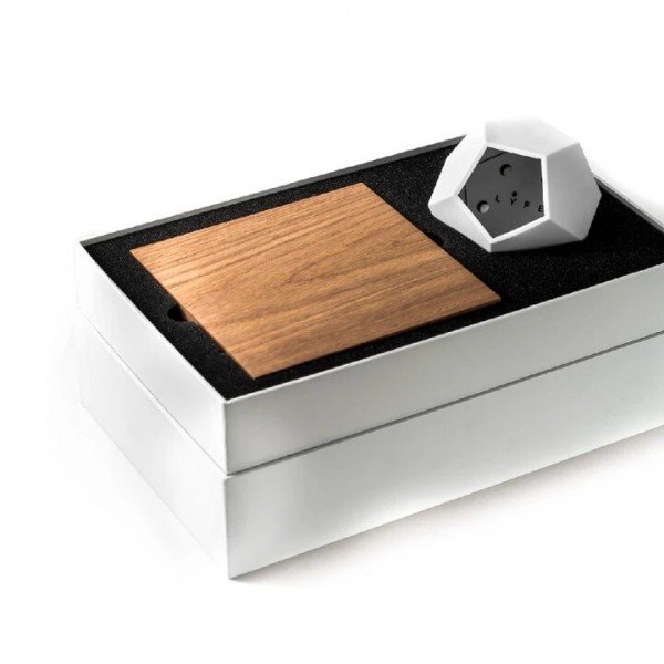 Левітуючий вазон FLYTE , горіх . Левітуючий вазон FLYTE , горіх .