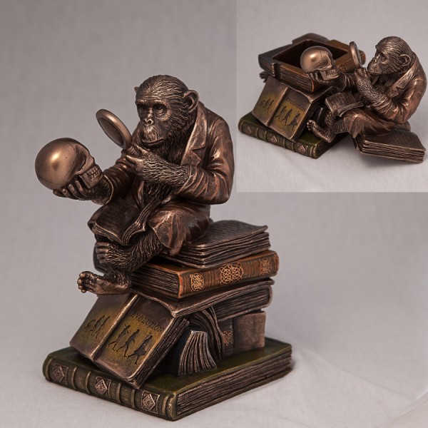 Скринька Мавпа Дарвіна Скринька Мавпа Дарвіна